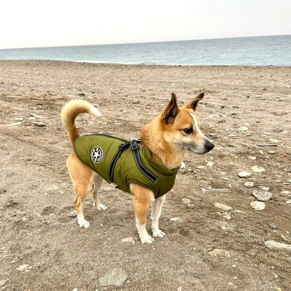 Giacca invernale per cani Pollini