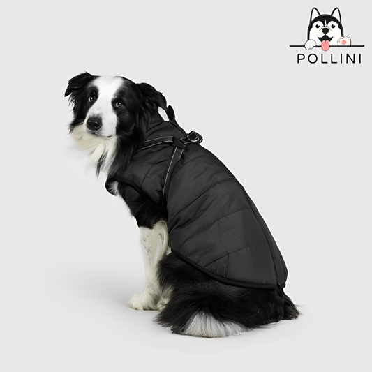 Giacca invernale per cani Pollini