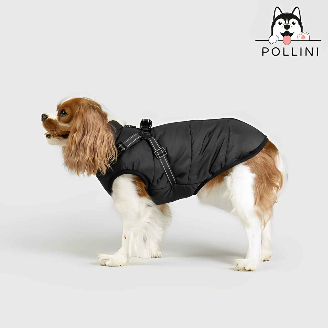 Giacca invernale per cani Pollini