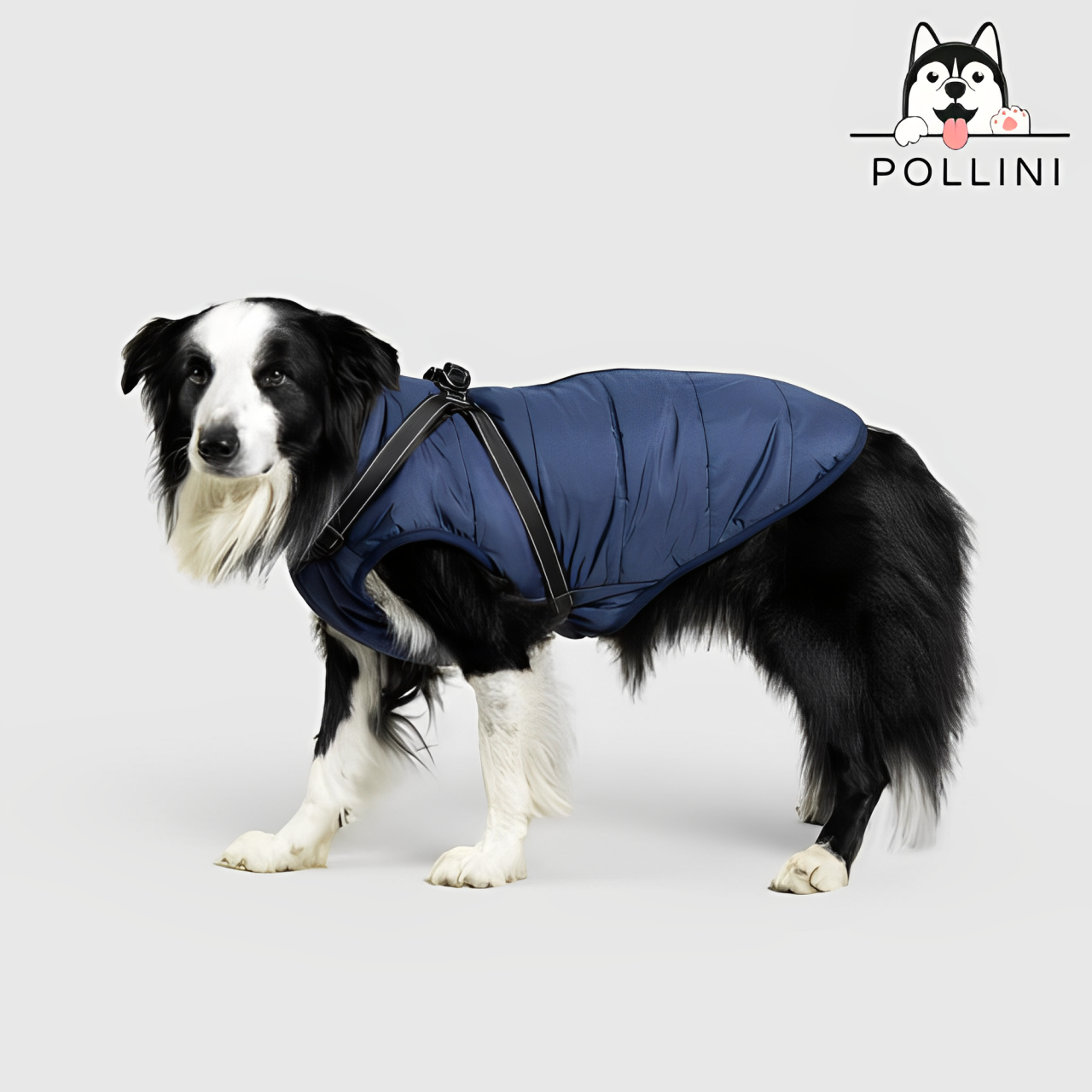 Giacca invernale per cani Pollini