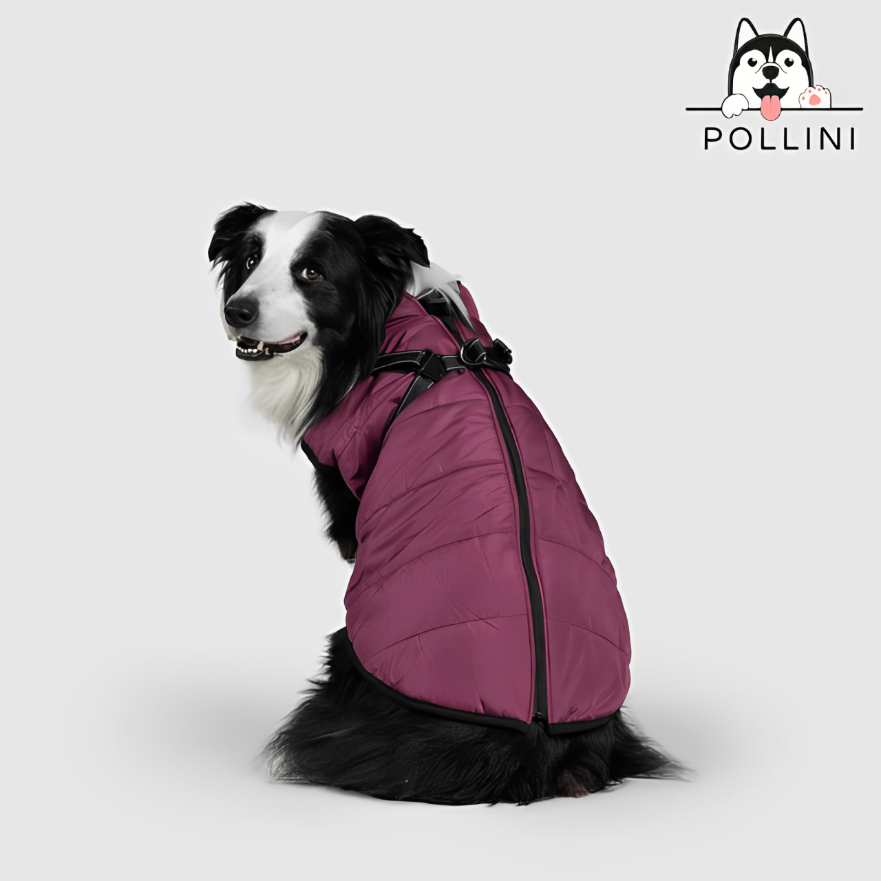 Giacca invernale per cani Pollini